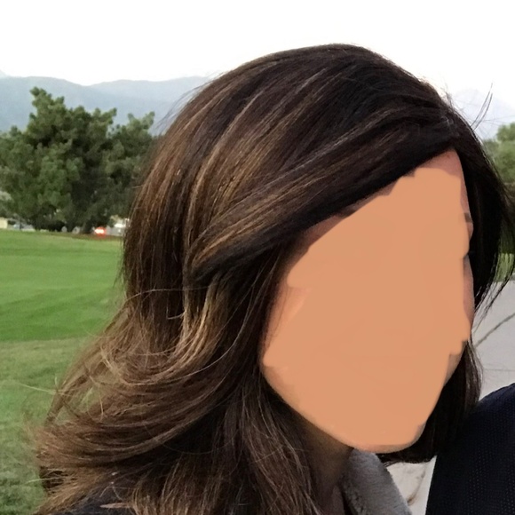 Human Hair Lace Front Part Wig Wig - Brown Brunette w/ Blonde Highlights - Picture 14 of 14